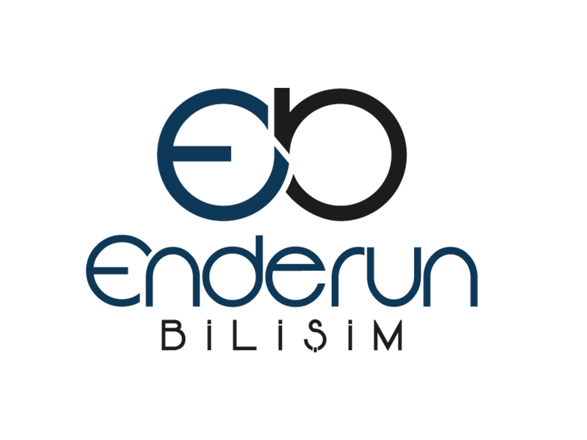 Enderun Bilişim Logo