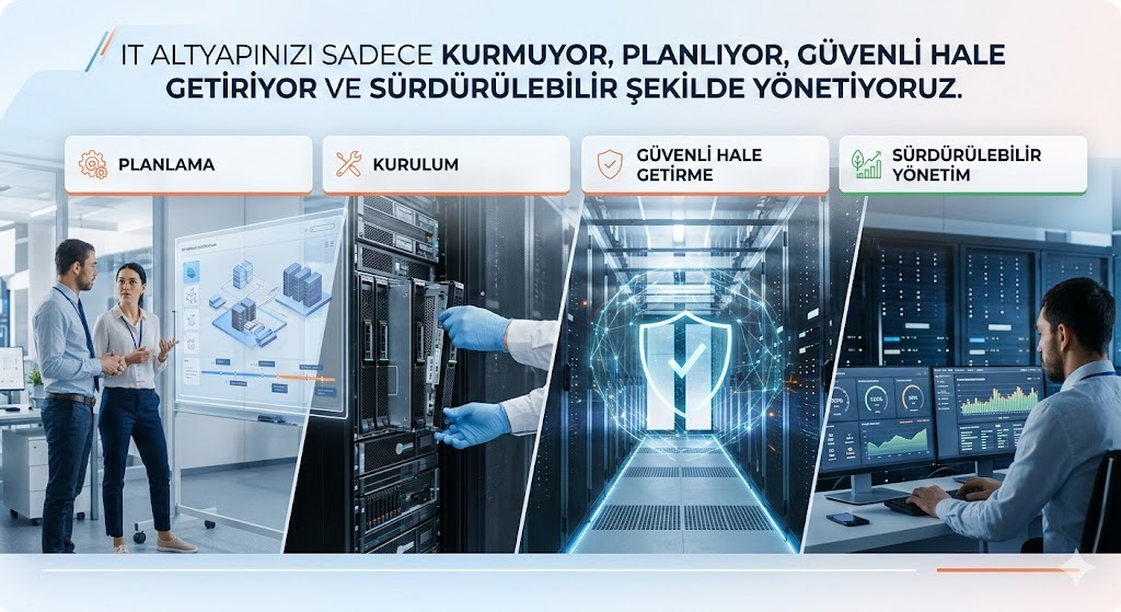 Professional team collaboration